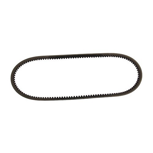 BELT (CORREIA)