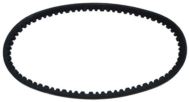 BELT (CORREIA)